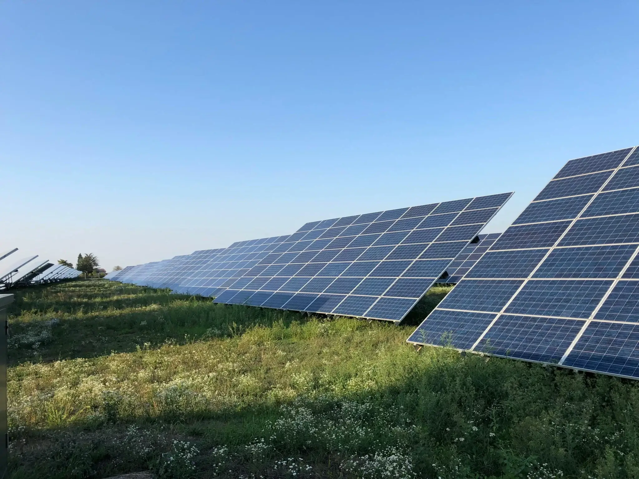 Bodenmontierte Solarmodule auf grüner Wiese – Fläche für Solaranlage