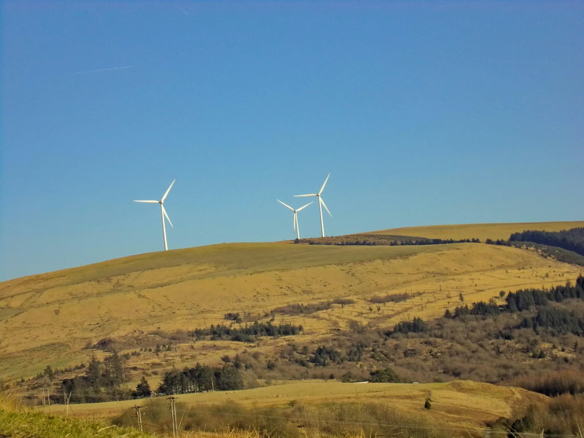 Windkraftanlagen in Landschaft – Projektentwicklung erneuerbare Energien