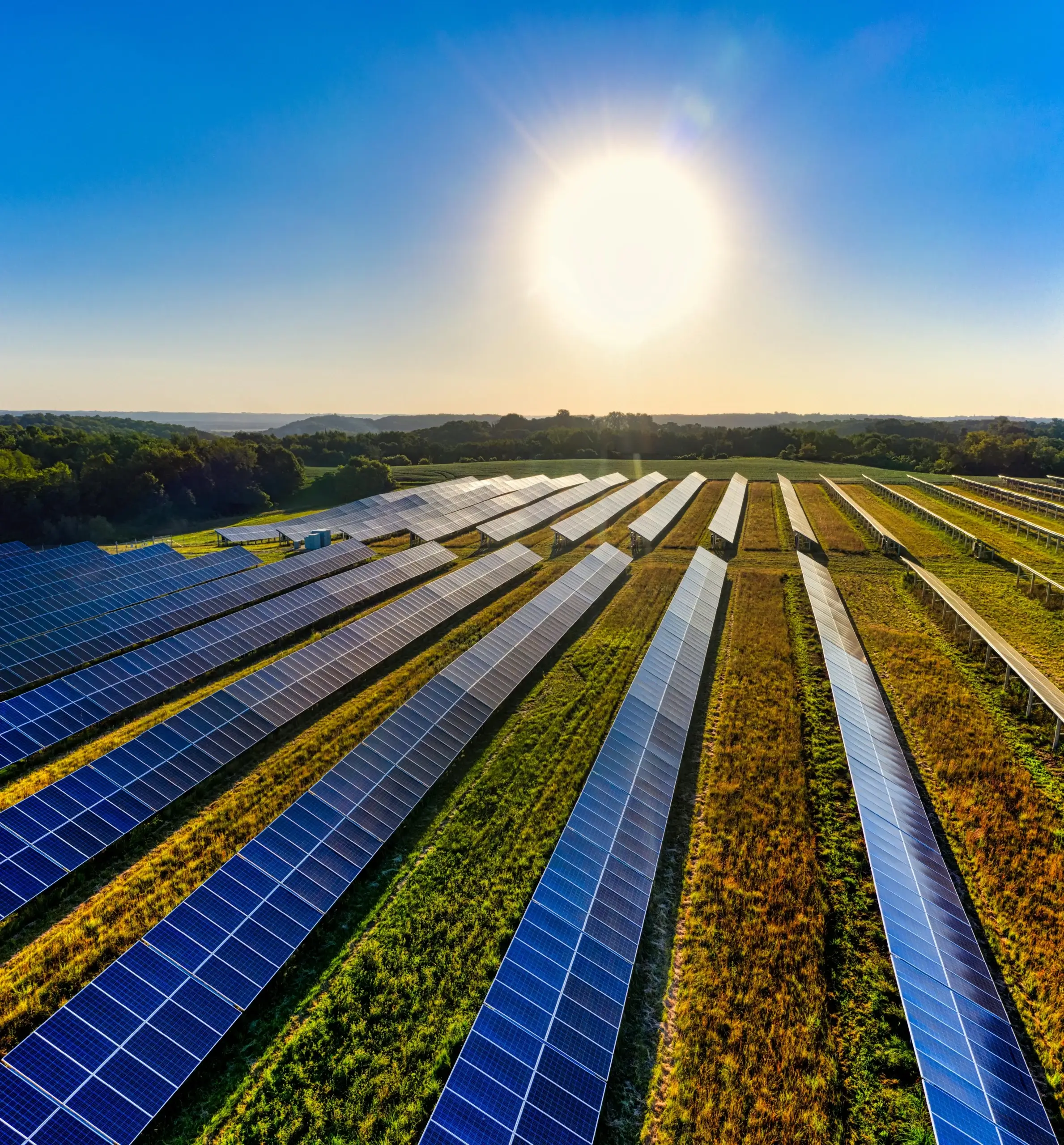 Solarmodule in einer Freiflächenanlage bei Sonnenuntergang – Photovoltaik Freiflächen Projekt
